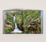 Portugal - Imagem 3