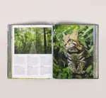 Costa Rica - Imagem 4