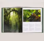 Costa Rica - Imagem 4