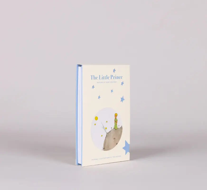 100Folhas O Principezinho