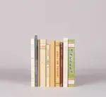 Os Livros Mais Afamados do Fado -  10 Vols. - Imagem 3